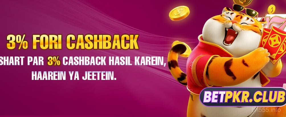 bn55 slots game preview